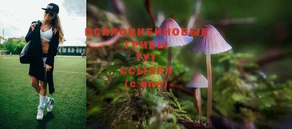MDMA Армянск