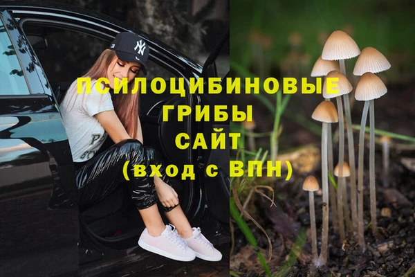 мет Арсеньев