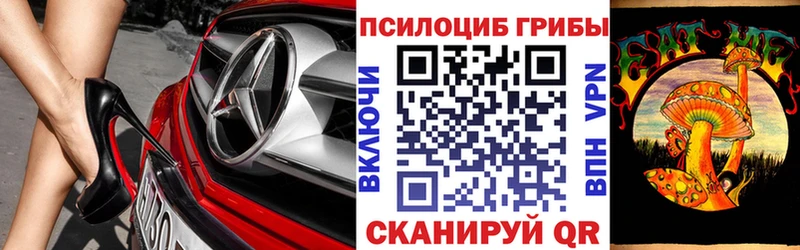 МЕГА зеркало  Сельцо  Галлюциногенные грибы мухоморы 